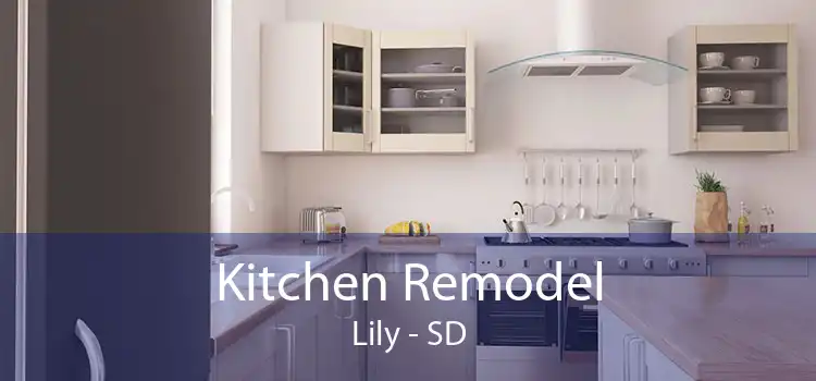 Kitchen Remodel Lily - SD