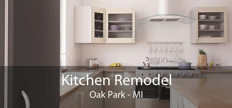 Kitchen Remodel Oak Park - MI