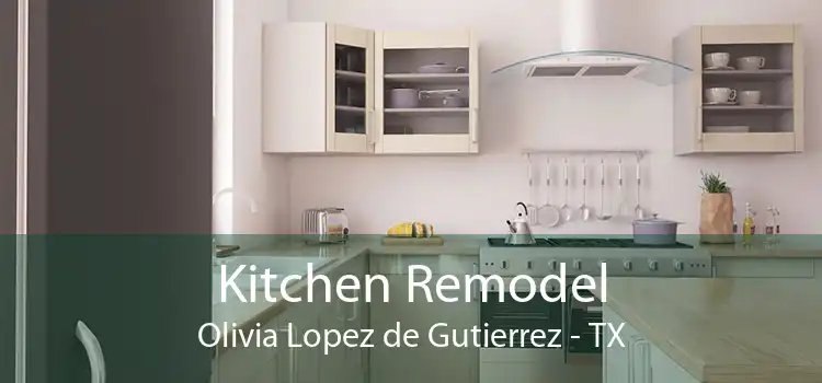 Kitchen Remodel Olivia Lopez de Gutierrez - TX