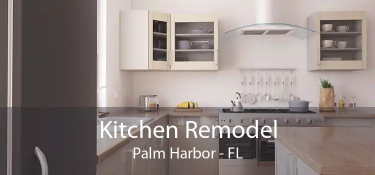 Kitchen Remodel Palm Harbor - FL