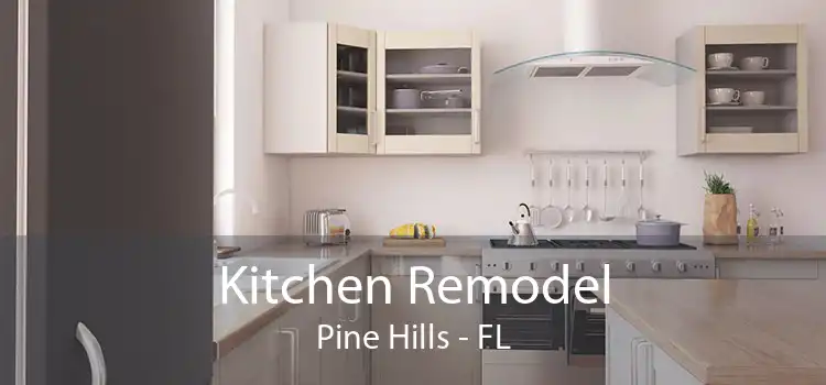 Kitchen Remodel Pine Hills - FL