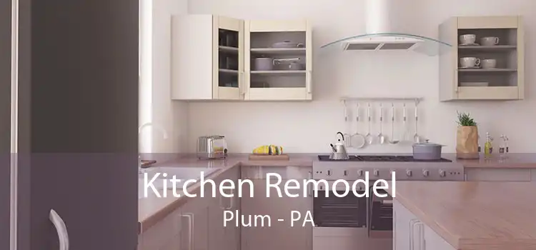 Kitchen Remodel Plum - PA