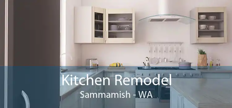 Kitchen Remodel Sammamish - WA
