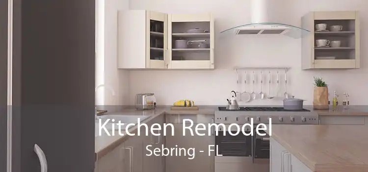 Kitchen Remodel Sebring - FL