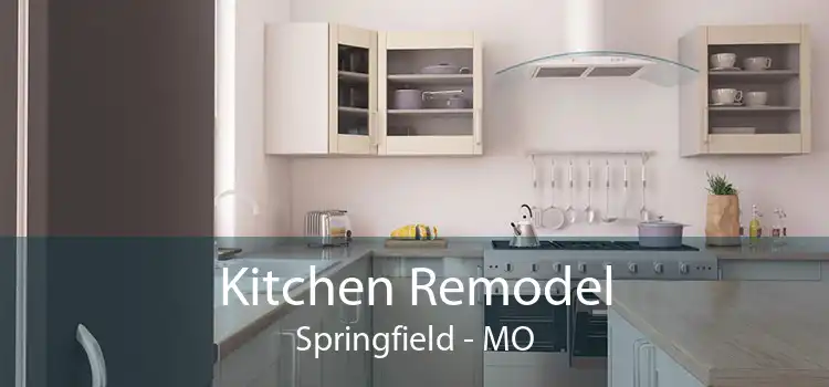 Kitchen Remodel Springfield - MO