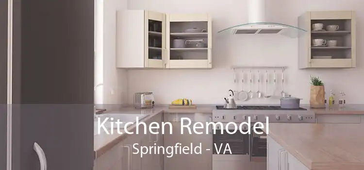 Kitchen Remodel Springfield - VA