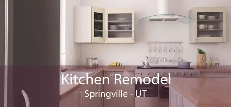 Kitchen Remodel Springville - UT