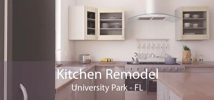 Kitchen Remodel University Park - FL