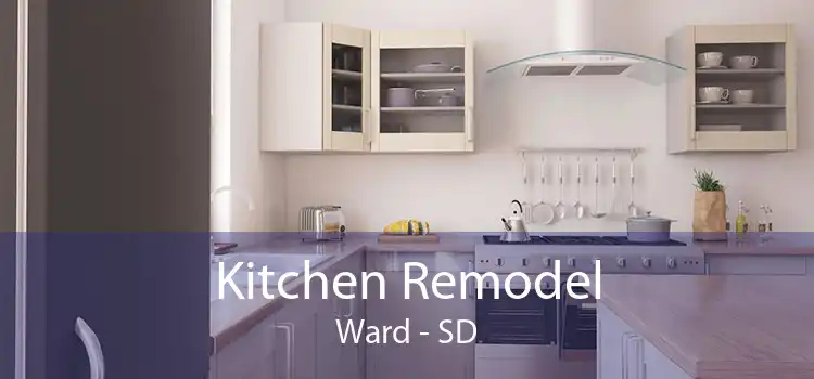 Kitchen Remodel Ward - SD