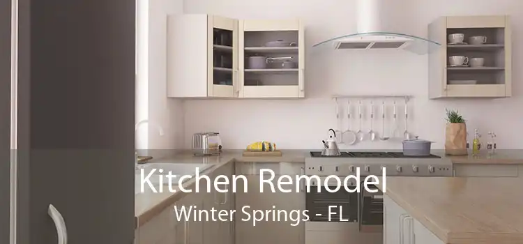 Kitchen Remodel Winter Springs - FL