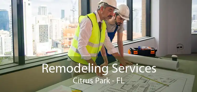 Remodeling Services Citrus Park - FL