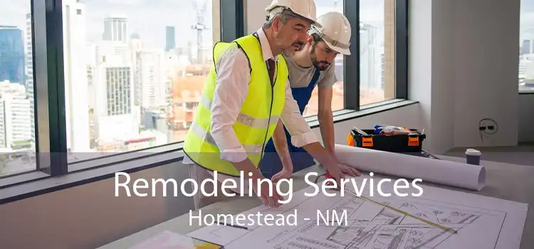 Remodeling Services Homestead - NM