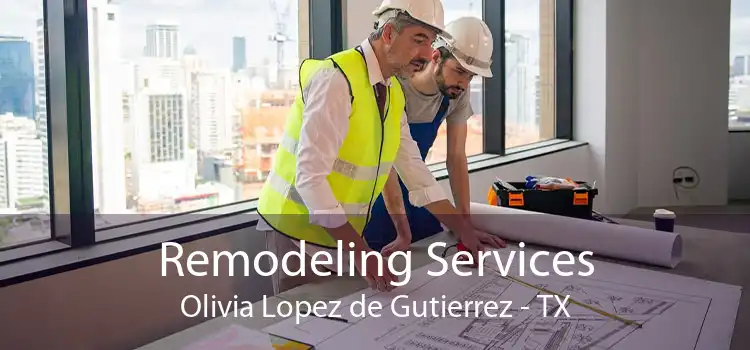 Remodeling Services Olivia Lopez de Gutierrez - TX