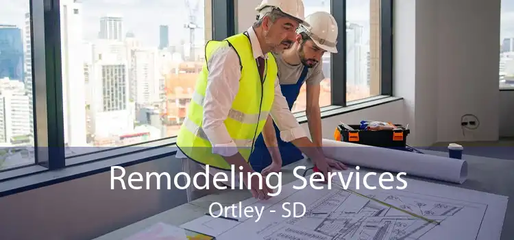 Remodeling Services Ortley - SD