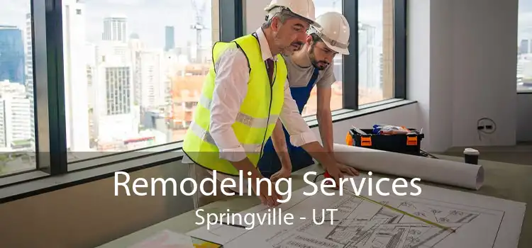 Remodeling Services Springville - UT