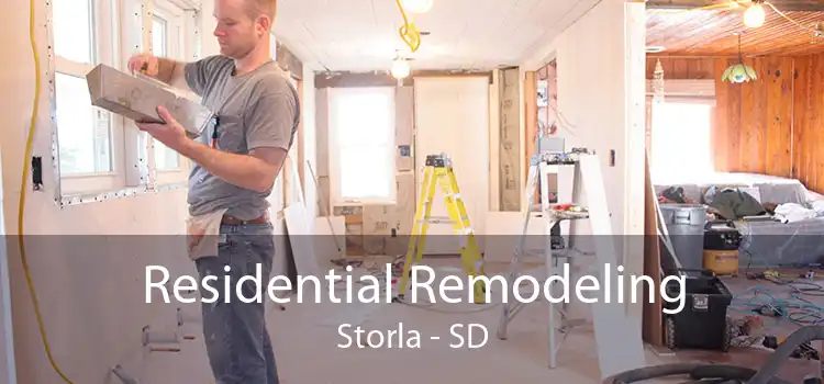 Residential Remodeling Storla - SD